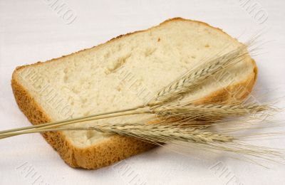  Bread and wheat.