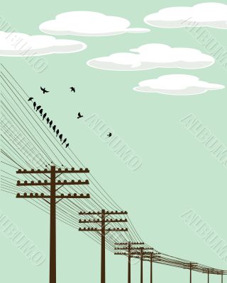 Flying birds