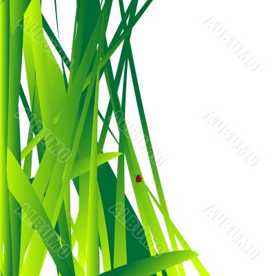 Fresh grass leaves background