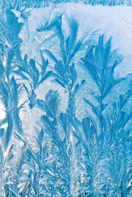 Winter background