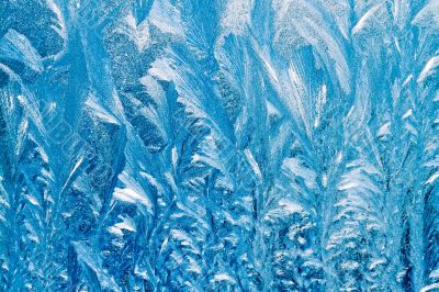 Winter background