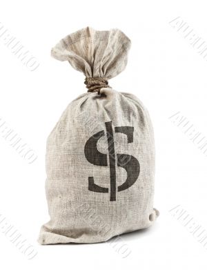 Money Bag