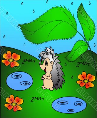 The Hedgehog under sheet