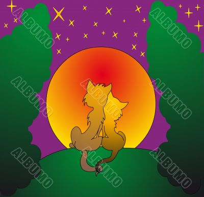 cat and cat on background of the moon