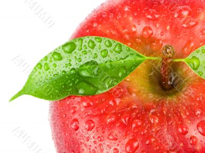 Ripe red apple 