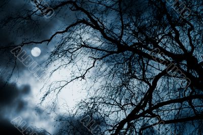 Scary dark scenery with naked trees, full moon and clouds