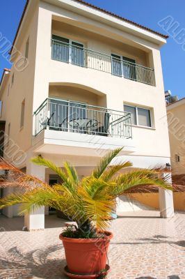 Palm and building