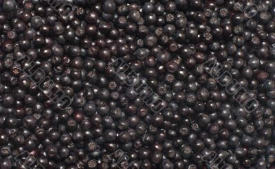 Chokeberry.