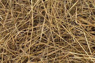 Straw.