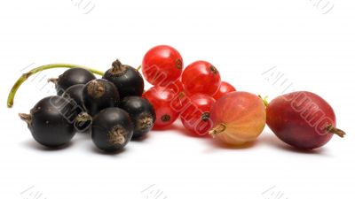 Berries.