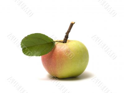 Apple.