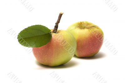 Apples.