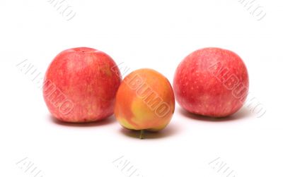 Apples.