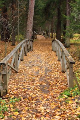 Wooden bridges in an autumn forest