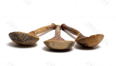Old spoons.
