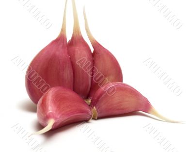 Garlic.