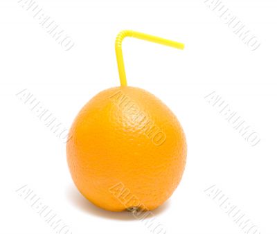 Orange  juice.