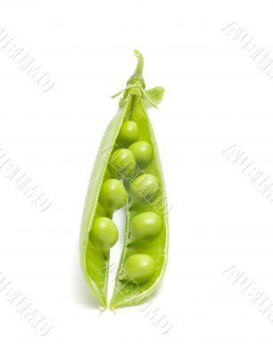 Green peas.