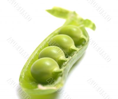 Green peas.