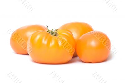 Tomatoes.