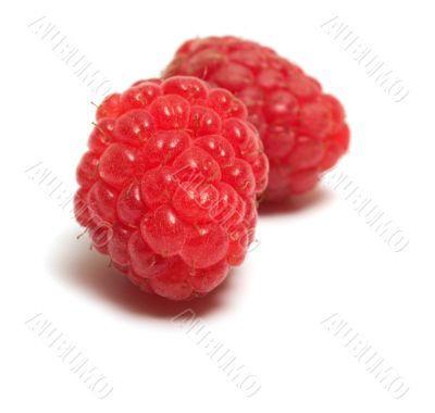Raspberries.