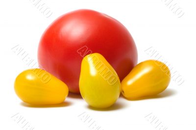 Tomatoes.