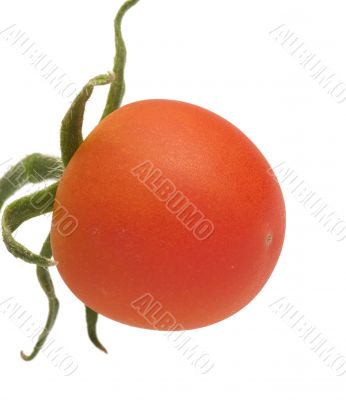 Tomato.