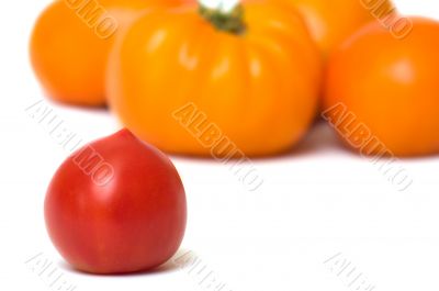 Tomatoes.