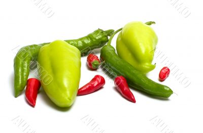 Capsicum.