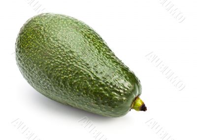 single avocado