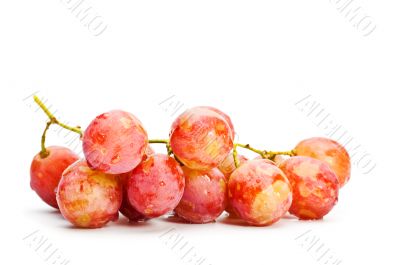 bunch of red grape 