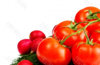 vegetables for salad