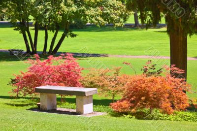 Summer park