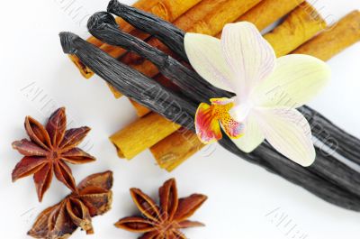 Star anise, cinnamon, vanilla