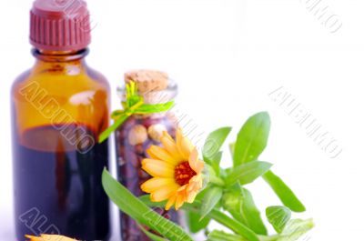 Herbal medicine with herbs . Isolated white background. Studio s