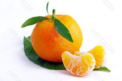 Tangerine with leaves on a white background