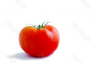 Red tomato