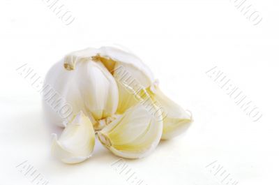 Garlic isolated on white background