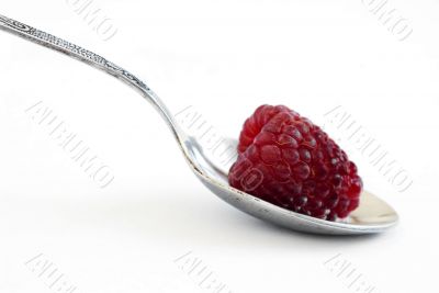 red raspberries in silver spoon