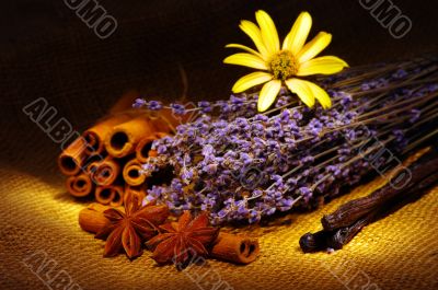 background of various colorful spices