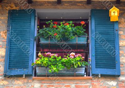 Italian Window 