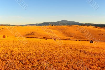 Hay Bales