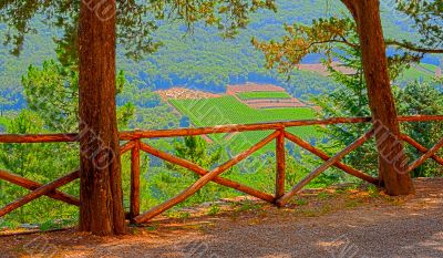 Wooden Fence