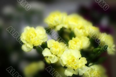 fantasy floral background