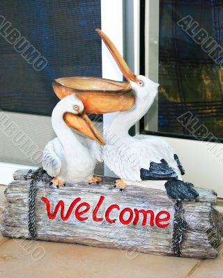 Pelicans