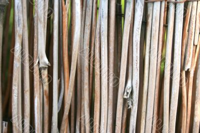 Bamboo background