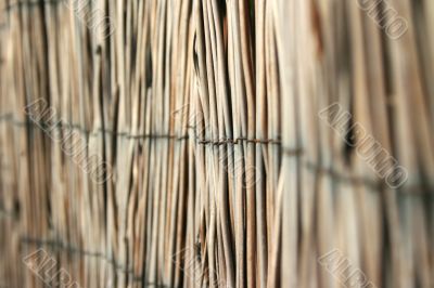 Bamboo background
