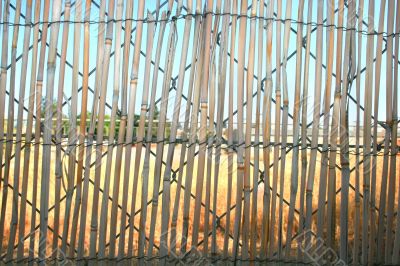 Bamboo fence