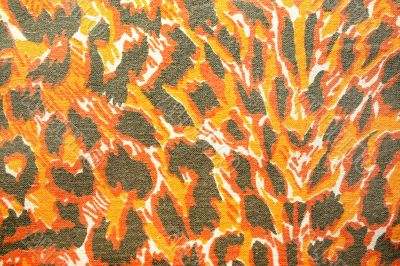 Fabric texture