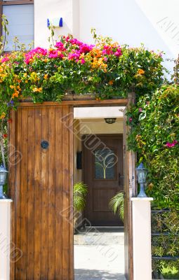 Entrance door